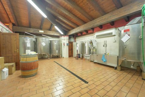 Villa i Borghi, Forli-Cesena, Borghi - € 1.500.000 | Ref: 4507 - foto 33