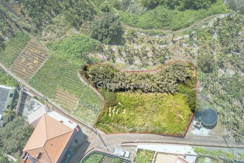 Helårsgrund i Ponta do Sol, Madeira, Ponta do Sol - € 65.000 | Ref: 25-1073 - foto 3