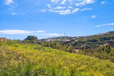 Helårsgrund i Ponta do Sol, Madeira, Ponta do Sol - € 65.000 | Ref: 25-1073 - foto 5