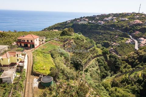 Helårsgrund i Ponta do Sol, Madeira, Ponta do Sol - € 65.000 | Ref: 25-1073 - foto 8