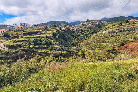 Helårsgrund i Ponta do Sol, Madeira, Ponta do Sol - € 65.000 | Ref: 25-1073 - foto 9