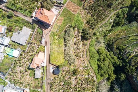 Helårsgrund i Ponta do Sol, Madeira, Ponta do Sol - € 65.000 | Ref: 25-1073 - foto 10