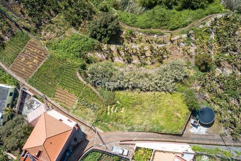 Helårsgrund i Ponta do Sol, Madeira, Ponta do Sol - € 65.000 | Ref: 25-1073 - foto 13