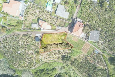 Helårsgrund i Ponta do Sol, Madeira, Ponta do Sol - € 65.000 | Ref: 25-1073 - foto 15