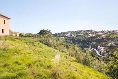 Helårsgrund i Ponta do Sol, Madeira, Ponta do Sol - € 65.000 | Ref: 25-1073 - foto 16