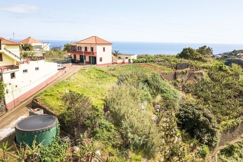 Helårsgrund i Ponta do Sol, Madeira, Ponta do Sol - € 65.000 | Ref: 25-1073 - foto 17