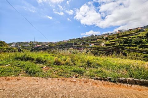 Helårsgrund i Ponta do Sol, Madeira, Ponta do Sol - € 65.000 | Ref: 25-1073 - foto 19