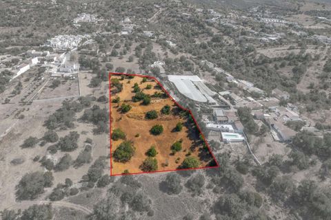 Helårsgrund i Paderne, Faro, Paderne - € 485.000 | Ref: KWPT-018622 - foto 2