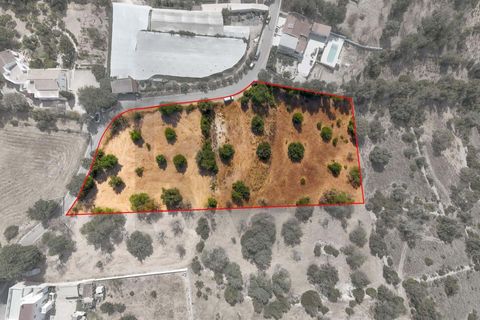 Helårsgrund i Paderne, Faro, Paderne - € 485.000 | Ref: KWPT-018622 - foto 6