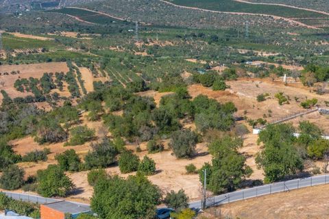 Helårsgrund i Paderne, Faro, Paderne - € 485.000 | Ref: KWPT-018622 - foto 13