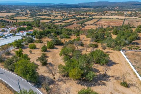 Helårsgrund i Paderne, Faro, Paderne - € 485.000 | Ref: KWPT-018622 - foto 14