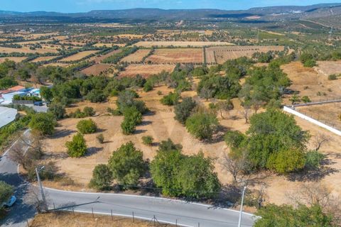 Helårsgrund i Paderne, Faro, Paderne - € 485.000 | Ref: KWPT-018622 - foto 15
