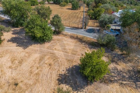 Helårsgrund i Paderne, Faro, Paderne - € 485.000 | Ref: KWPT-018622 - foto 36