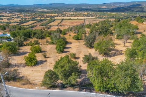 Helårsgrund i Paderne, Faro, Paderne - € 485.000 | Ref: KWPT-018622 - foto 37