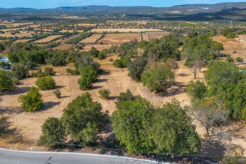 Helårsgrund i Paderne, Faro, Paderne - € 485.000 | Ref: KWPT-018622 - foto 38
