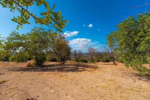 Helårsgrund i Paderne, Faro, Paderne - € 485.000 | Ref: KWPT-018622 - foto 49