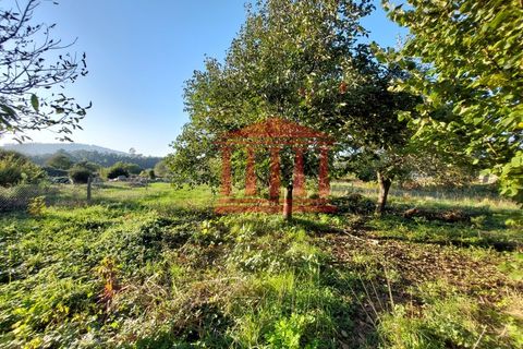 Villa i Barcelos, Braga, Barcelos - € 230.000 | Ref: 272M001013 - foto 5