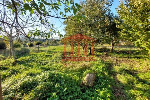 Villa i Barcelos, Braga, Barcelos - € 230.000 | Ref: 272M001013 - foto 6