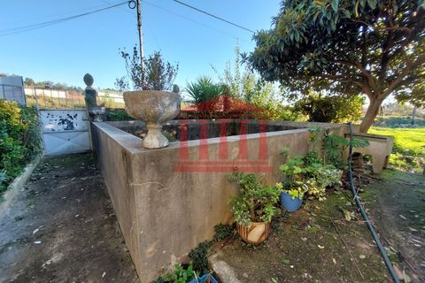 Villa i Barcelos, Braga, Barcelos - € 230.000 | Ref: 272M001013 - foto 7