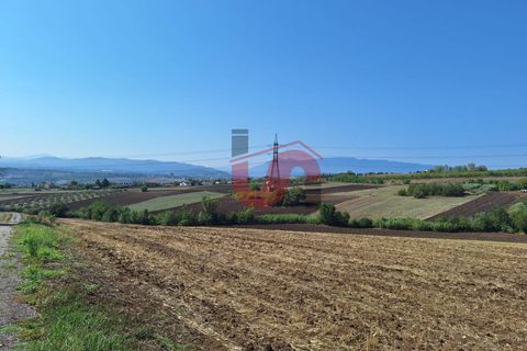 Helårsgrund i Benevento, Benevento, Benevento - € 85.000 | Ref: AA39738 - foto 5