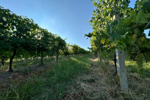 Byhus i Valsamoggia, Bologna, Valsamoggia - € 265.000 | Ref: B230 - foto 11