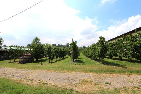 Byhus i Valsamoggia, Bologna, Valsamoggia - € 515.000 | Ref: B1004 - foto 2