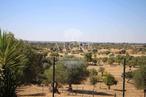 Farm hus i Evora, Evora, Evora - € 1.300.000 | Ref: 3142025AS - foto 7