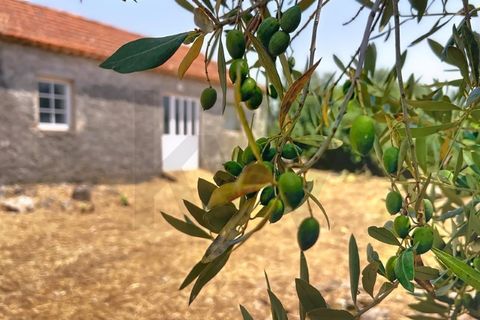 Villa i Alcobaca, Leiria, Alcobaca - € 98.000 | Ref: KWPT-020699 - foto 6