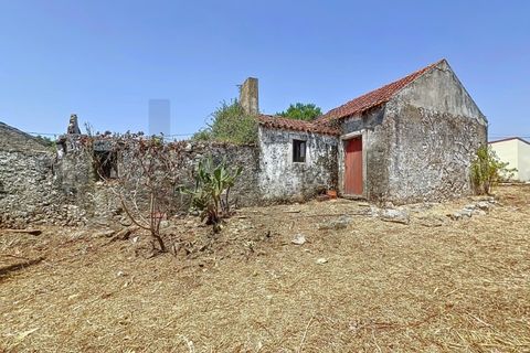 Villa i Alcobaca, Leiria, Alcobaca - € 98.000 | Ref: KWPT-020699 - foto 14
