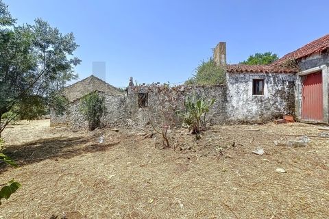 Villa i Alcobaca, Leiria, Alcobaca - € 98.000 | Ref: KWPT-020699 - foto 17