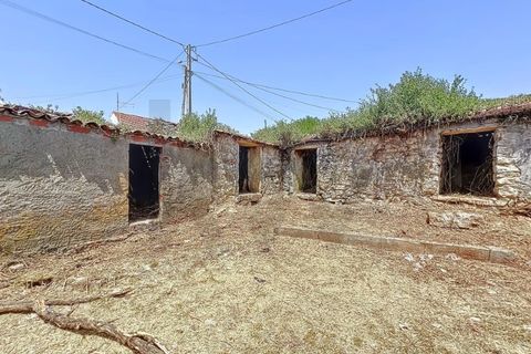 Villa i Alcobaca, Leiria, Alcobaca - € 98.000 | Ref: KWPT-020699 - foto 18