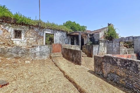 Villa i Alcobaca, Leiria, Alcobaca - € 98.000 | Ref: KWPT-020699 - foto 21