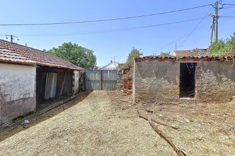 Villa i Alcobaca, Leiria, Alcobaca - € 98.000 | Ref: KWPT-020699 - foto 22