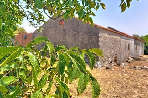 Villa i Alcobaca, Leiria, Alcobaca - € 98.000 | Ref: KWPT-020699 - foto 23
