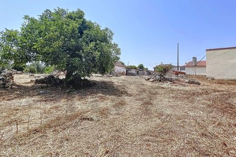 Villa i Alcobaca, Leiria, Alcobaca - € 98.000 | Ref: KWPT-020699 - foto 30