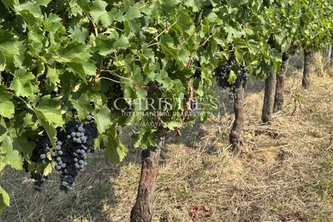 Landejendom i Saint-Emilion, Gironde, Saint-Emilion - € 995.000 | Ref: KM1142 - foto 29