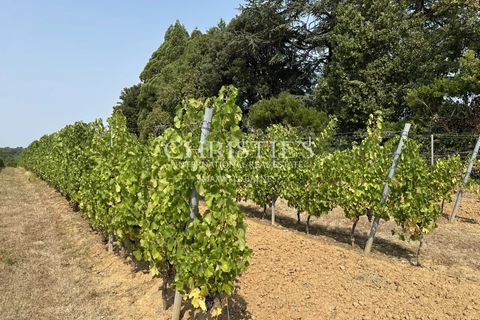 Landejendom i Saint-Emilion, Gironde, Saint-Emilion - € 995.000 | Ref: KM1142 - foto 30