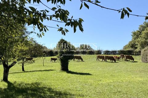 Villa a Thiviers, Dordogne, Thiviers - € 670.000 | Ref: NH1007 - foto 36