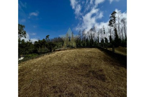 Helårsgrund i Melres e Medas, Porto, Melres e Medas - € 350.000 | Ref: 0306/25 - foto 5