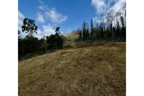 Helårsgrund i Melres e Medas, Porto, Melres e Medas - € 350.000 | Ref: 0306/25 - foto 6