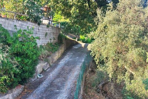 Leilighet i Sangineto, Cosenza, Sangineto - € 63 000 | Ref: 1332 - foto 8
