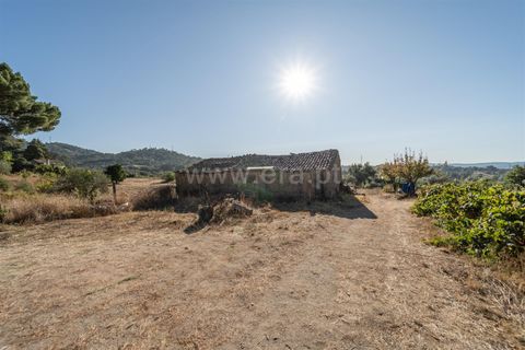 Tomt i Fundao, Castelo Branco, Fundao - € 26 500 | Ref: 111250171 - foto 2