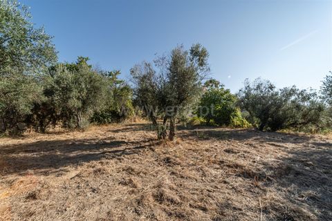 Tomt i Fundao, Castelo Branco, Fundao - € 26 500 | Ref: 111250171 - foto 4