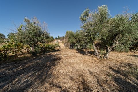 Tomt i Fundao, Castelo Branco, Fundao - € 26 500 | Ref: 111250171 - foto 5
