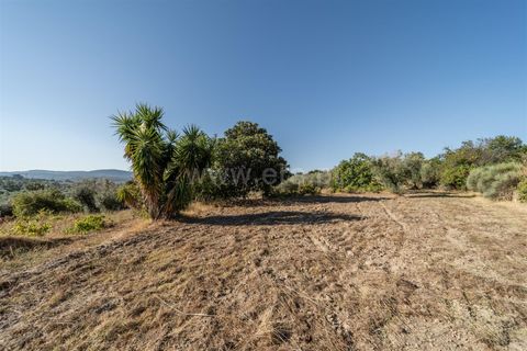 Tomt i Fundao, Castelo Branco, Fundao - € 26 500 | Ref: 111250171 - foto 6