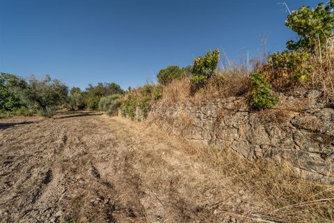 Tomt i Fundao, Castelo Branco, Fundao - € 26 500 | Ref: 111250171 - foto 7
