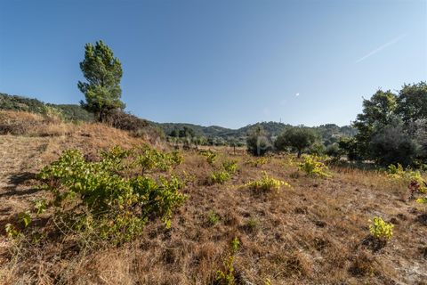 Tomt i Fundao, Castelo Branco, Fundao - € 26 500 | Ref: 111250171 - foto 8