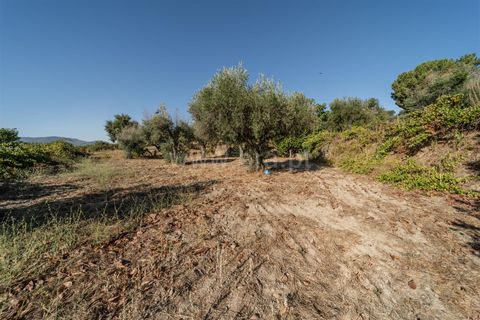 Tomt i Fundao, Castelo Branco, Fundao - € 26 500 | Ref: 111250171 - foto 9