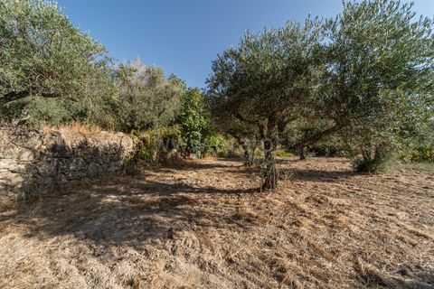 Tomt i Fundao, Castelo Branco, Fundao - € 26 500 | Ref: 111250171 - foto 11