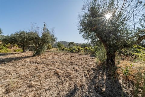 Tomt i Fundao, Castelo Branco, Fundao - € 26 500 | Ref: 111250171 - foto 12